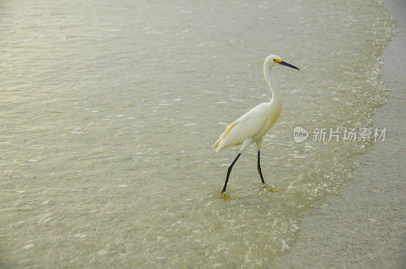 起重机在海边钓鱼