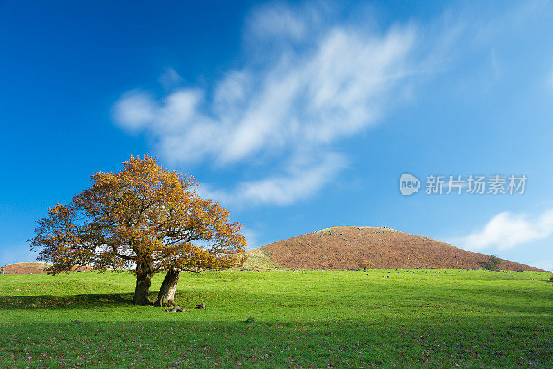 英国秋天的树和山是秋天的乡村