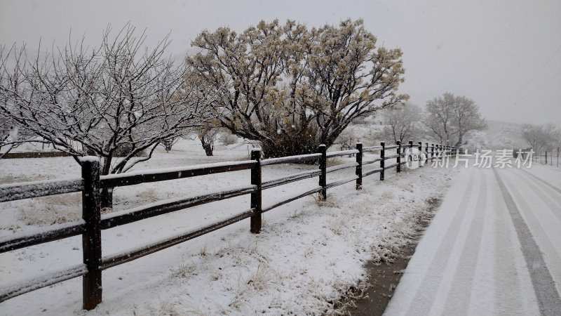 犹他州洛克维尔格拉夫顿路的乡村篱笆和新雪