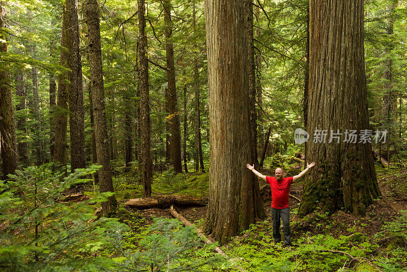 徒步旅行者享受自然的纯粹之美