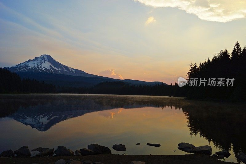 延龄草日出