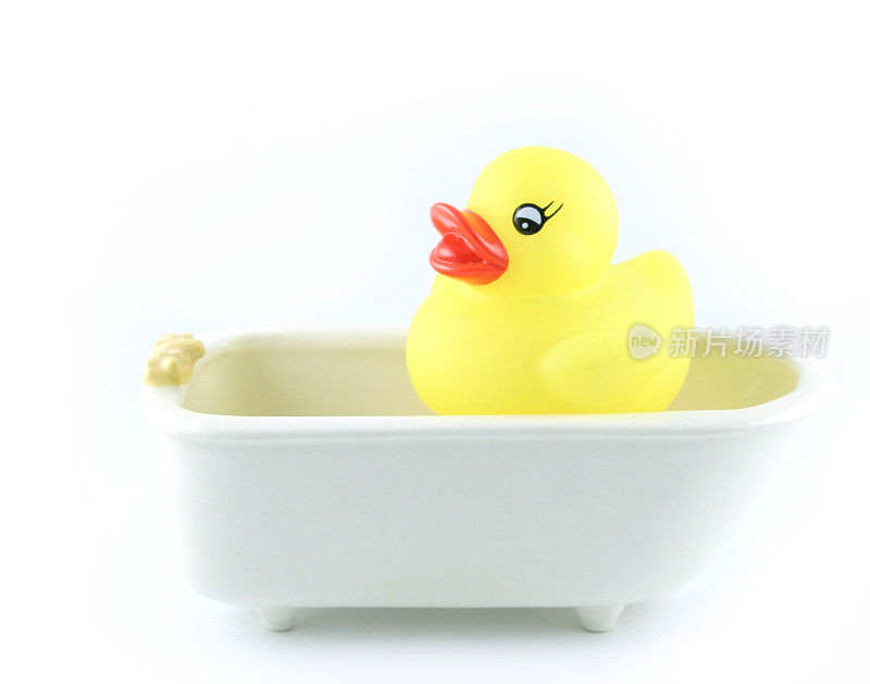 鸭子洗澡