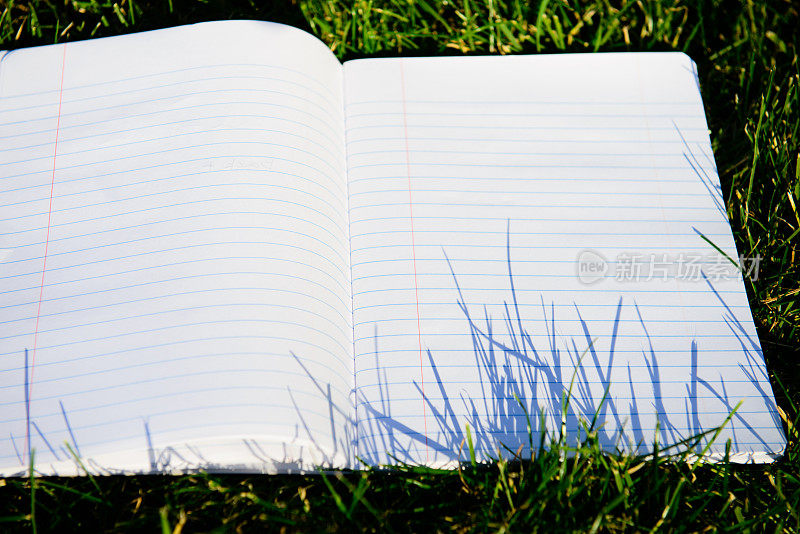 草地上的笔记本-横放