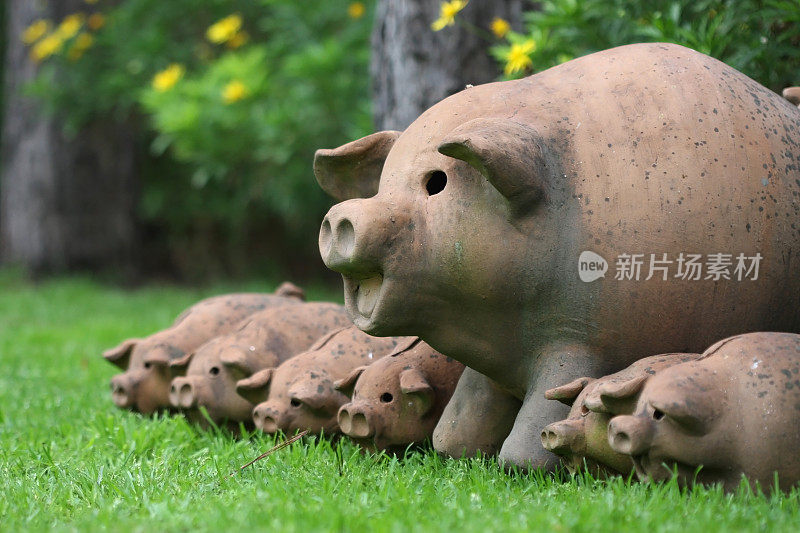 Terracotta猪的家庭