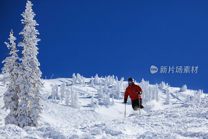 男子滑雪者在行动粉雪与晴朗的天空