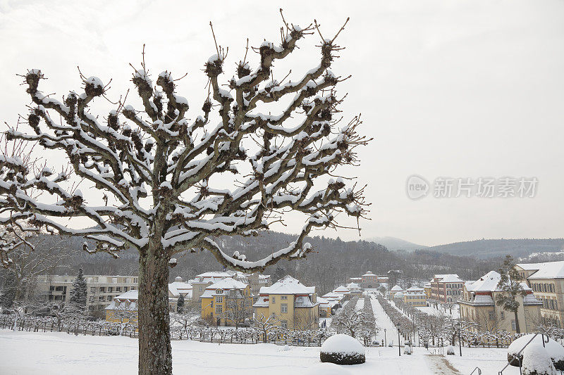 雪覆盖的树冬天公园温泉浴室别墅德国