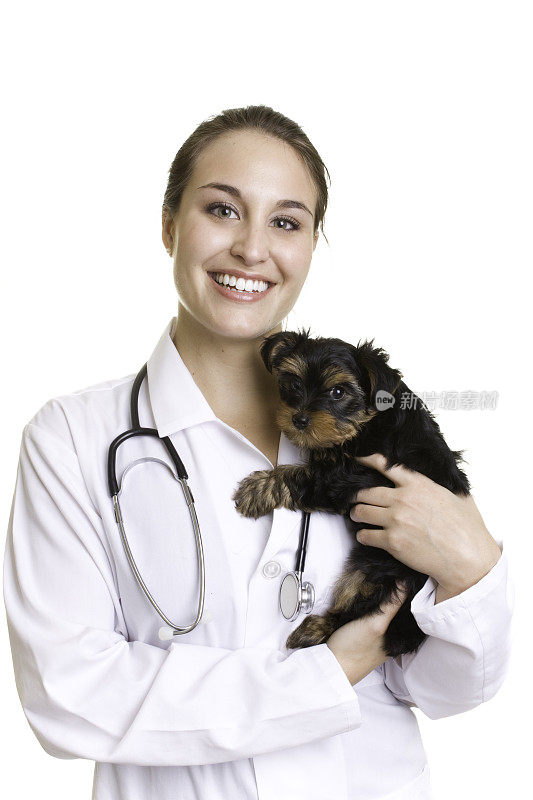 年轻女子兽医抱着小黑狗