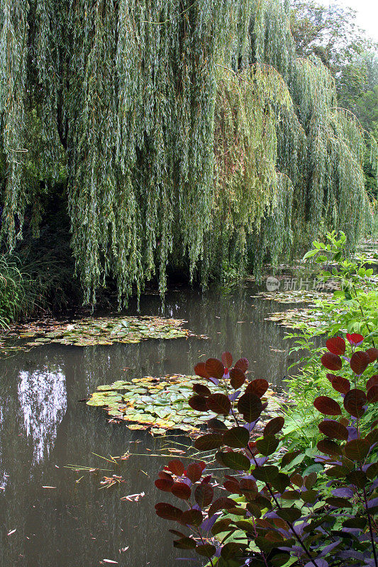 法国:克劳德·莫奈的吉维尼花园