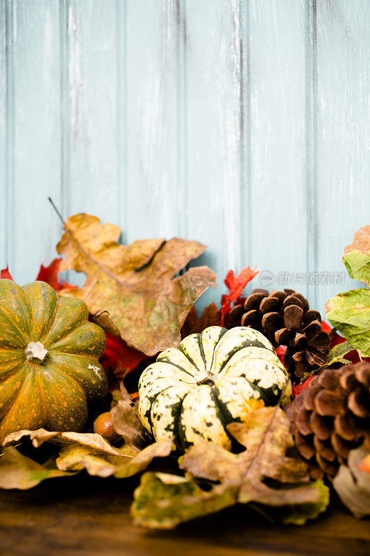 秋季背景用葫芦、南瓜、树叶装饰。