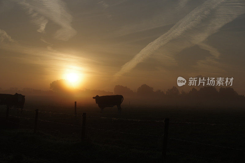 乡间的晨曦