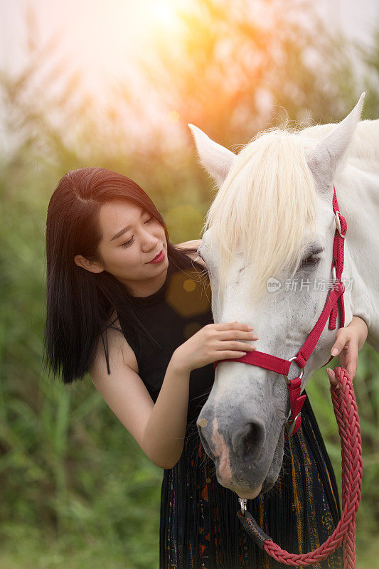 本质上的女人和马