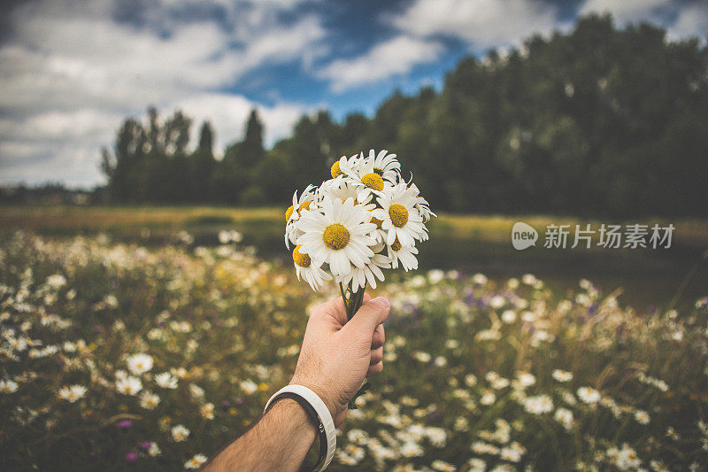 鲜花和夏天