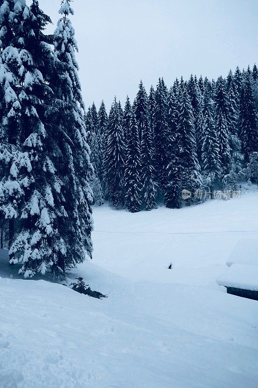 在欧洲阿尔卑斯山脉，冰雪覆盖的冬季景观和森林