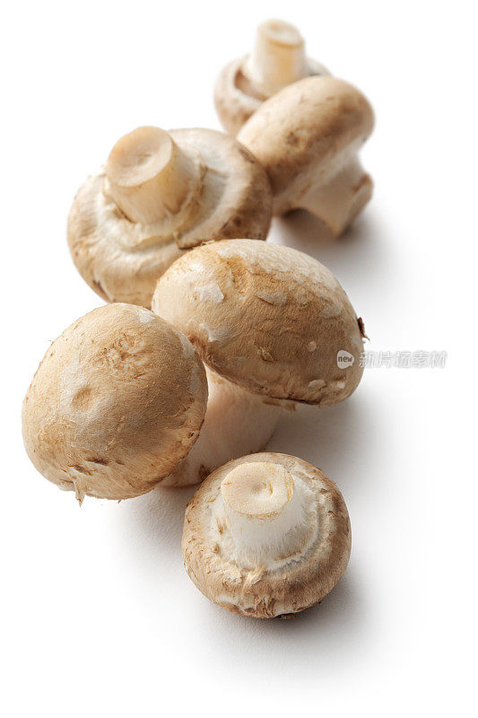 蘑菇:在白色背景上分离的小蘑菇