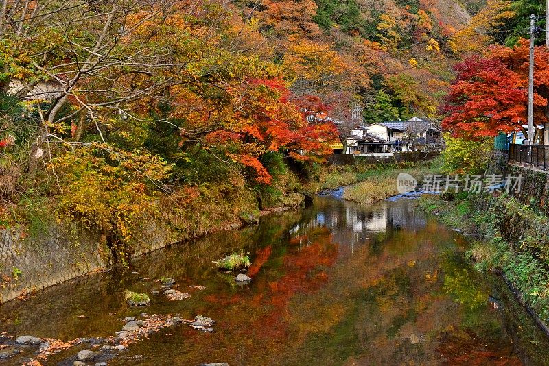 日本福田县瀑布下游的落叶