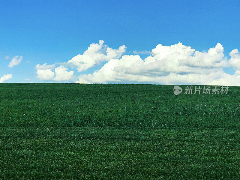 从草地到天空