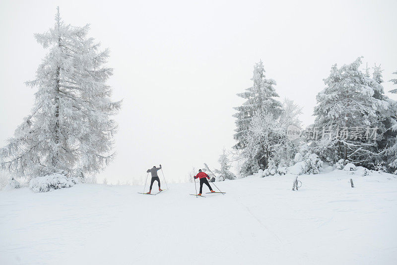 两名资深男子越野滑雪在大雾天气，欧洲