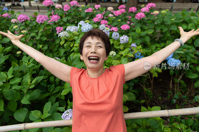 日本老年妇女享受绣球花花园