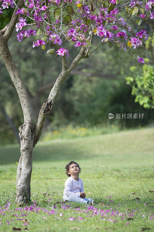 花开季节，女孩们坐在树下。