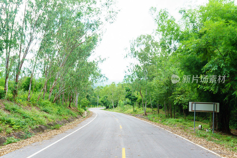 景观的柏油路弯弯曲曲，穿过绿色的森林，以直线为方向前进。泰国的乡村公路。道路旅行，通往成功的路线，旅行或努力抽象的概念。