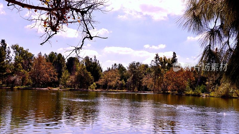 Yorba地区公园。