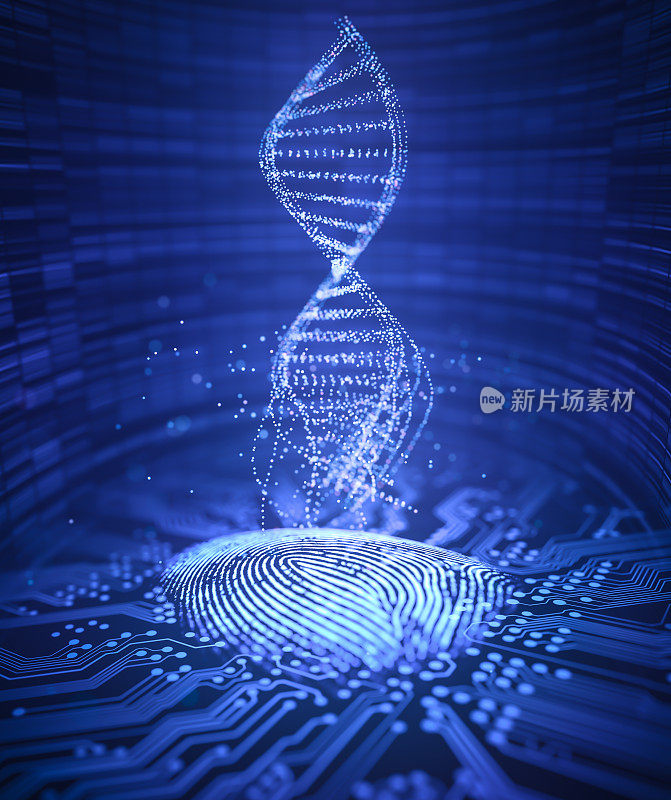 指纹遗传密码DNA