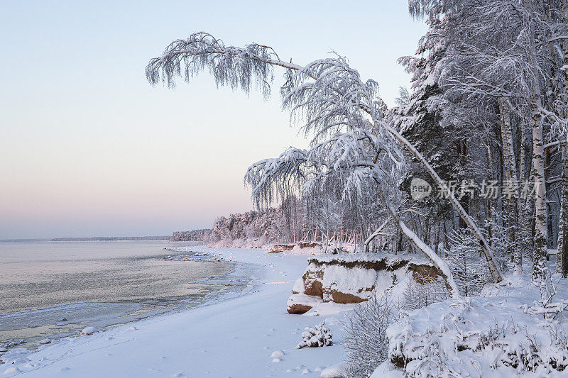 Vidzeme的海滨