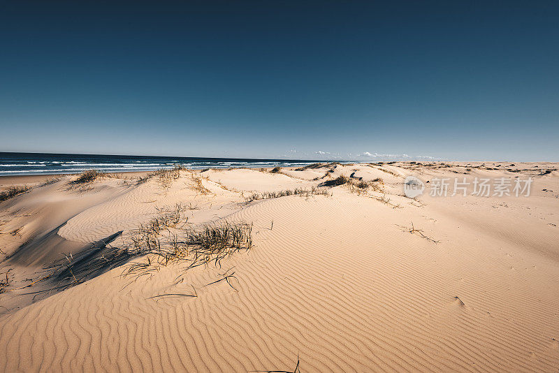 澳大利亚的斯托克顿沙丘
