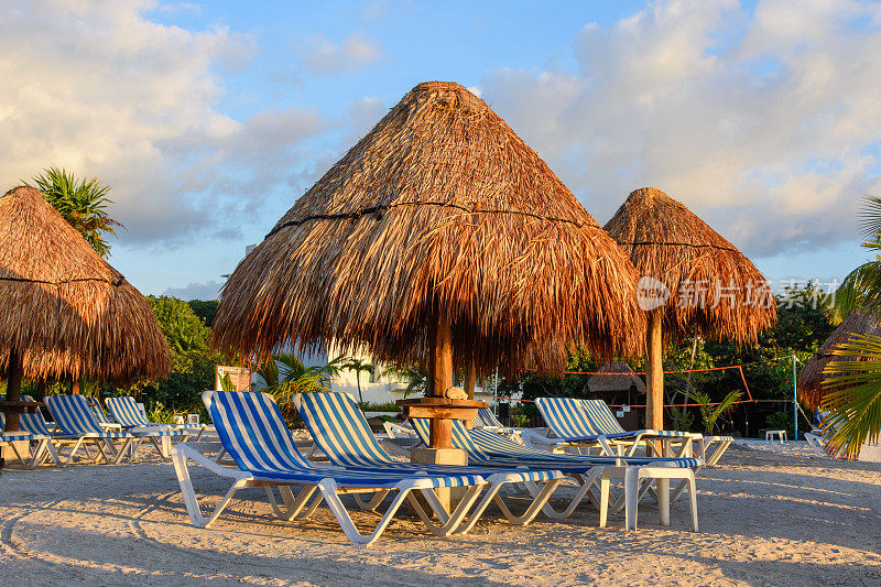 用草伞和条纹躺椅观赏热带沙滩。