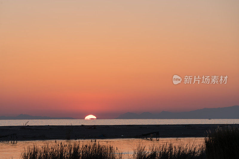 芦苇草的剪影在日落在海滩