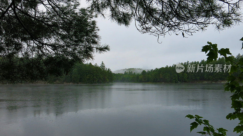 雨天，鹤池，阿迪朗达克山，纽约