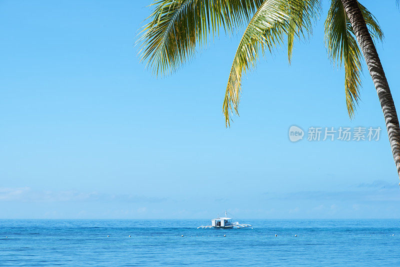 热带海洋和棕榈树复制空间场景