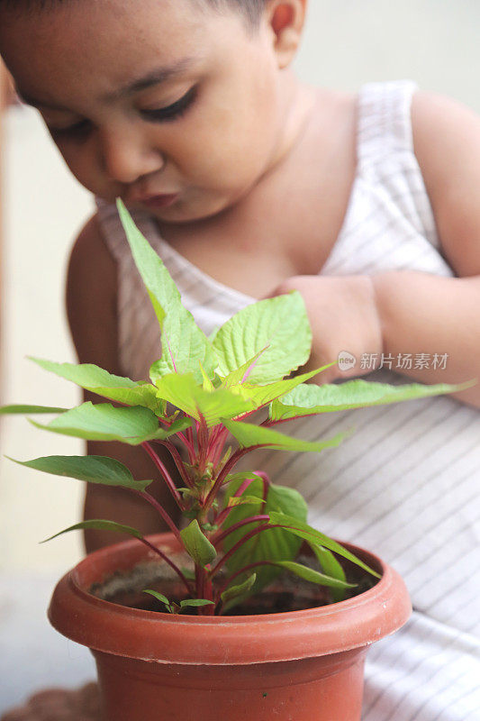 小女孩和植物幼苗
