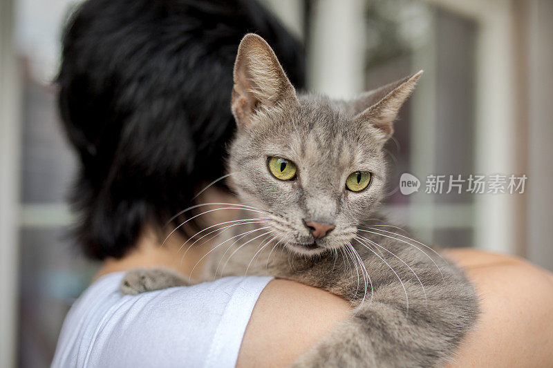 女人抱着她的猫