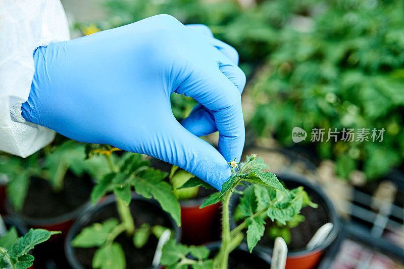 植物学需要精细的接触