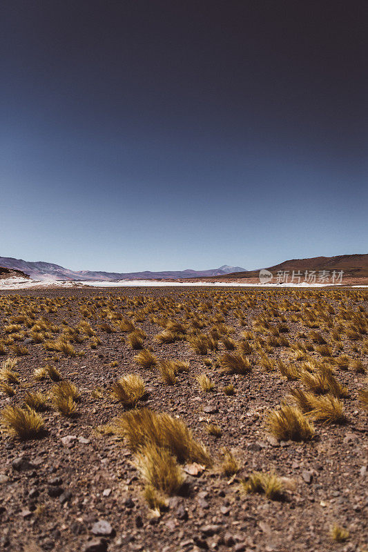 在阿塔卡马沙漠萨拉德塔拉尔火山景观的风景