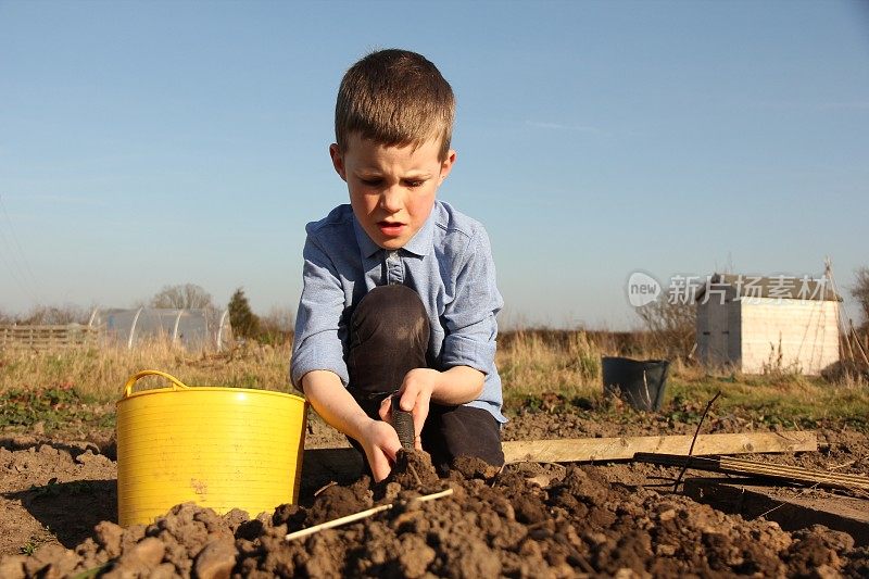 男孩用铲斗挖掘