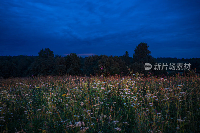 仲夏夜的草地