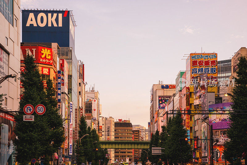 东京秋叶原街(日本)