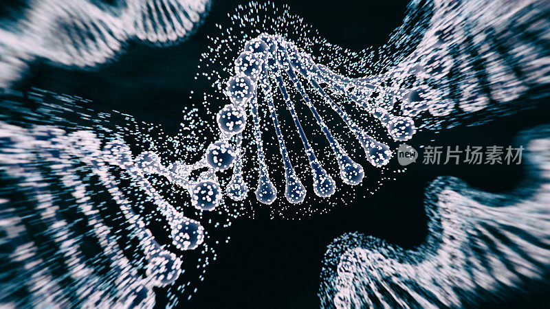 DNA链螺旋结构