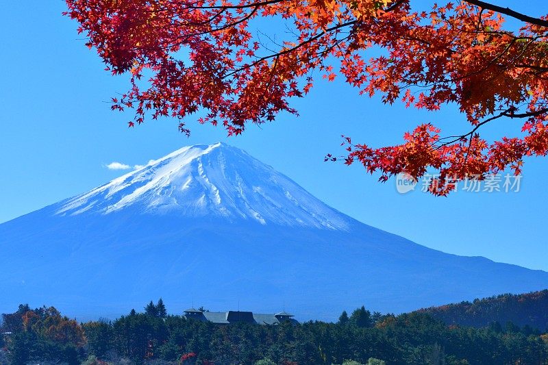 日本富士五湖地区的富士山和秋叶色