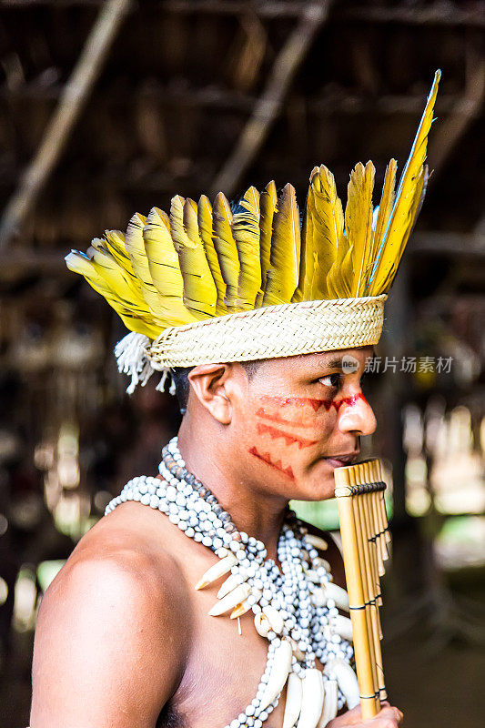 巴西亚马逊的印第安部落仪式