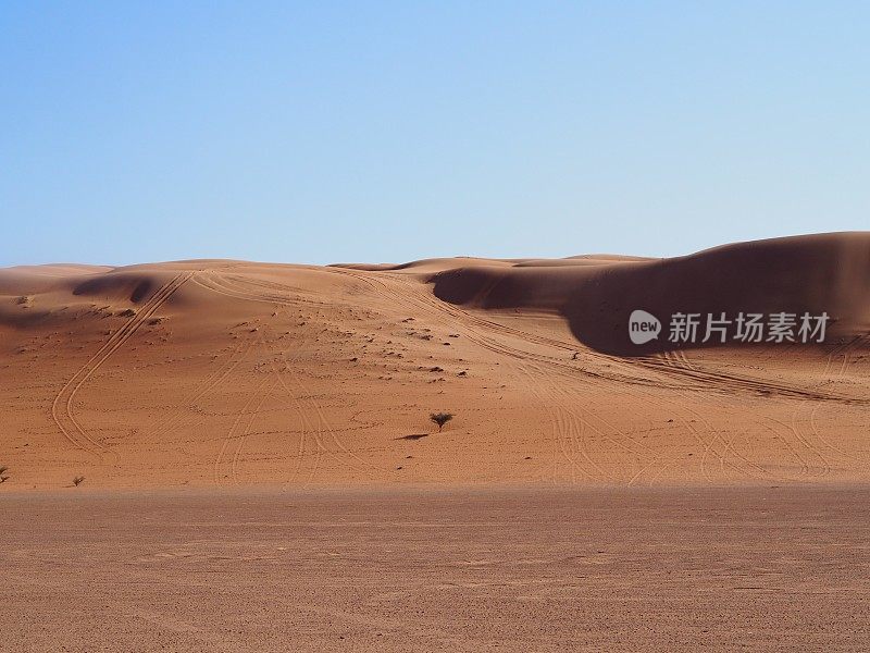 阿曼瓦希巴沙漠