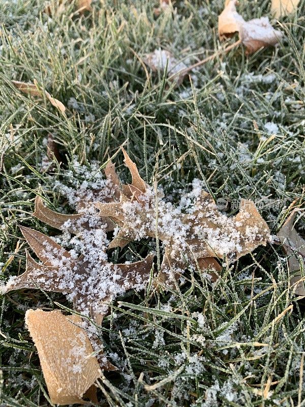 大自然的霜雪