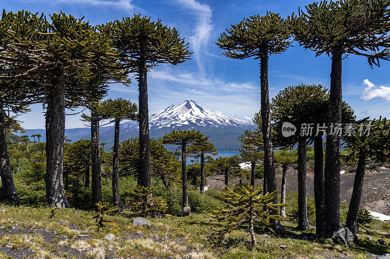 孔吉里奥国家公园的亚伊马火山