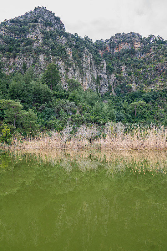 土耳其达利安的考诺斯古城石墓全景