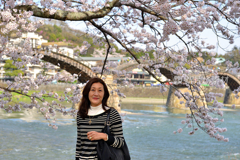 一名日本妇女在山口县岩国的樱花下行走