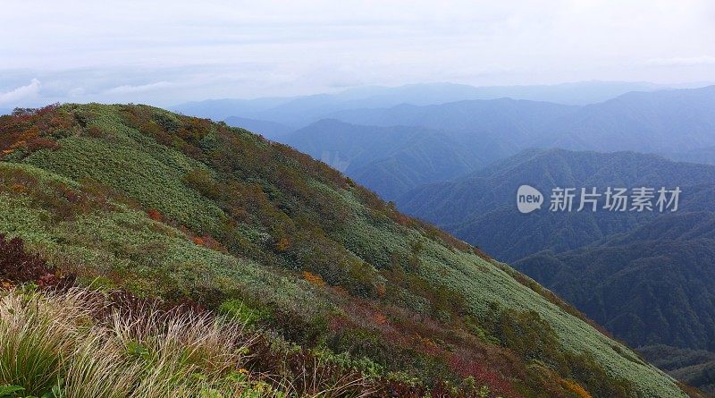 荒岛渚(日本100座名山荒岛)