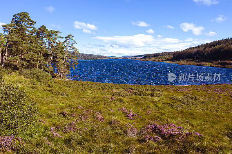 苏格兰西南部乡村邓弗里斯和加洛韦的一个苏格兰湖