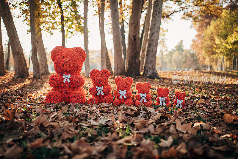 一群红色的泰迪熊在公园的地上排成一排
